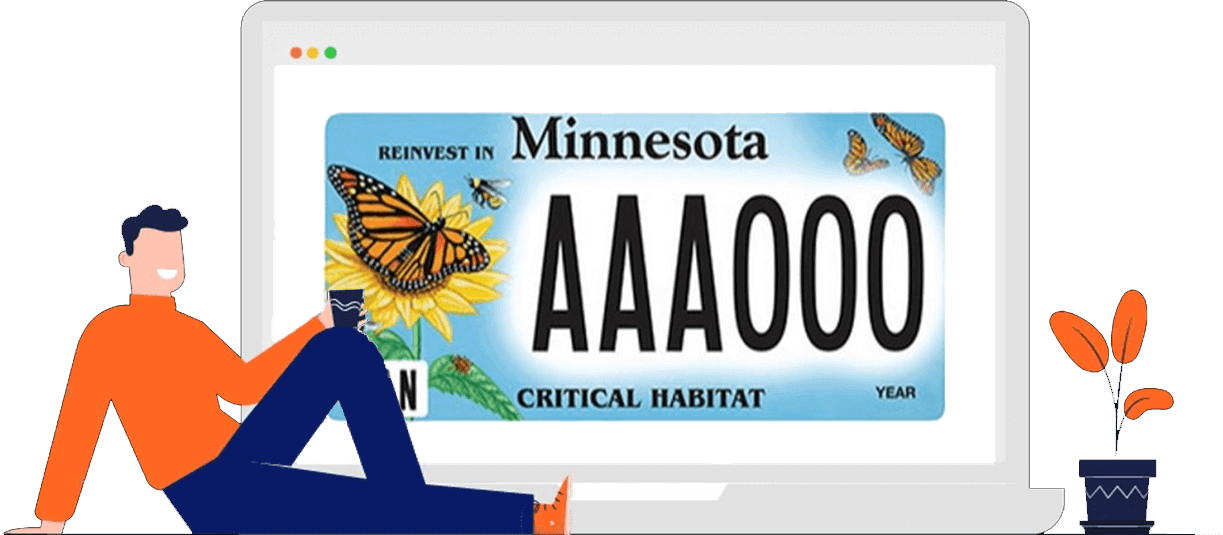 Minnesota License Plates